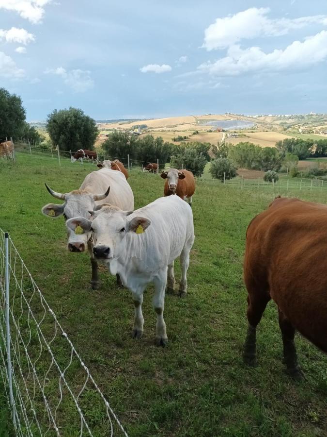 Casa Di Campagna Villa De Luca Bellante Zewnętrze zdjęcie